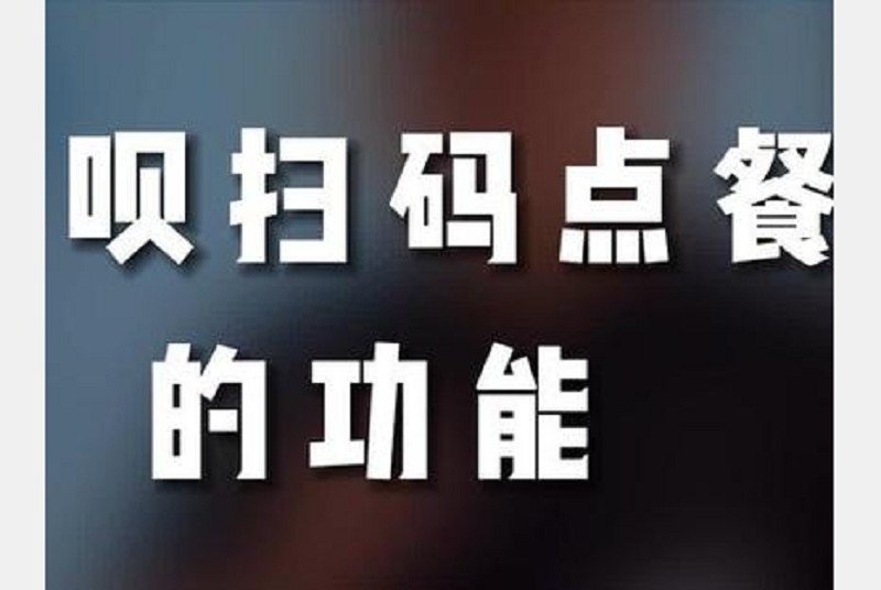 深度解析：付呗收款码是骗局吗？揭秘网络支付安全与欺诈风险